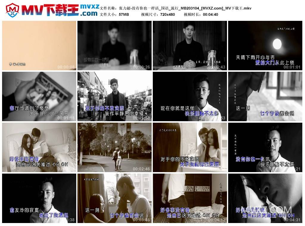 张力超-没有你也一样活_国语_流行_MB203104